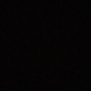 Meet your Posher, Bailey